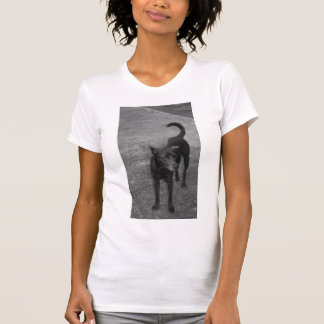 B&W - Aspin T-Shirt