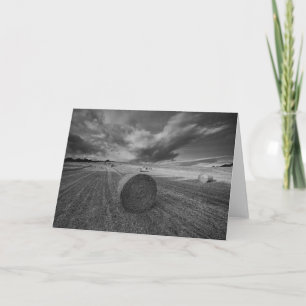 B&W Barley Field Card