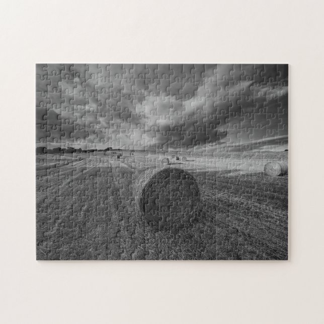B&W Barley Field Jigsaw Puzzle (Horizontal)