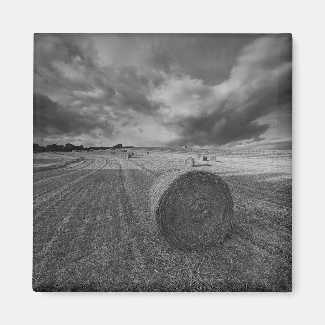 B&W Barley Field Magnet (Front)