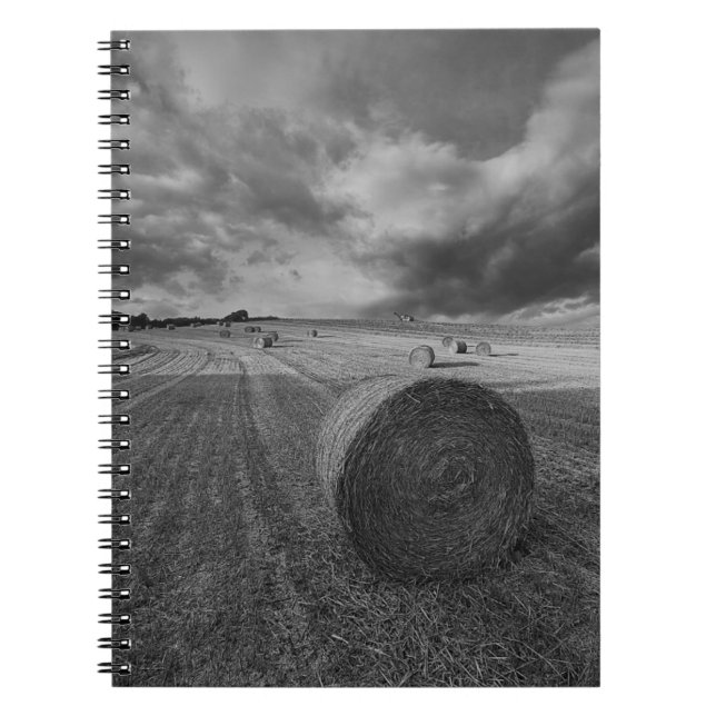 B&W Barley Field Notebook (Front)