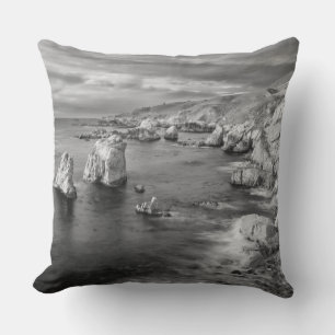 B&W beach coastline, California Cushion