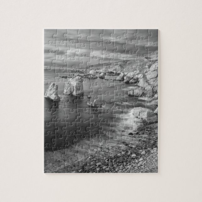 B&W beach coastline, California Jigsaw Puzzle (Vertical)