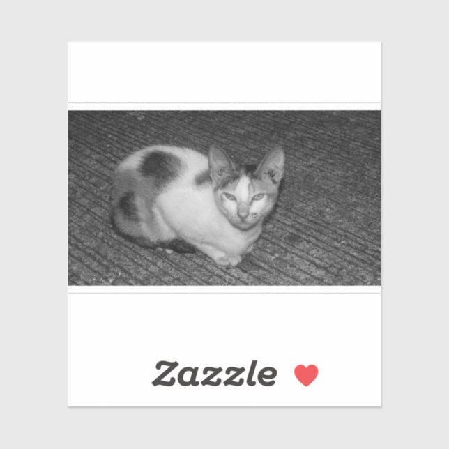 B&W - Cat 03 (Sheet)