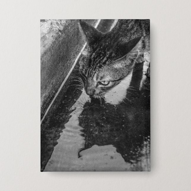 B&W - Cat Drinking (Front)
