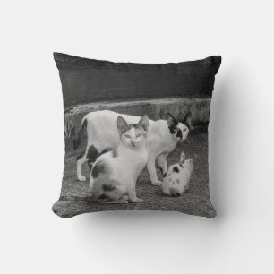 B&W - Cats Cushion