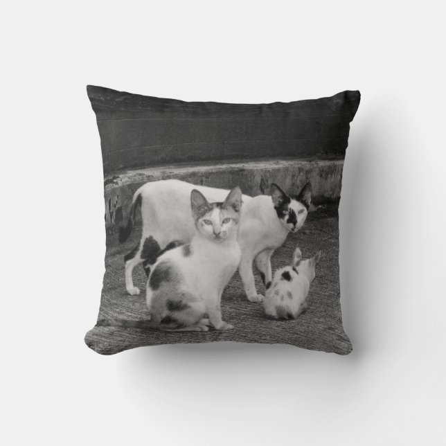B&W -  Cats Cushion (Front)