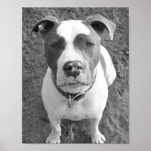 B/W Chevy Poster