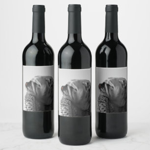 B&W Colourized Bulldog Resting Head Wine Label