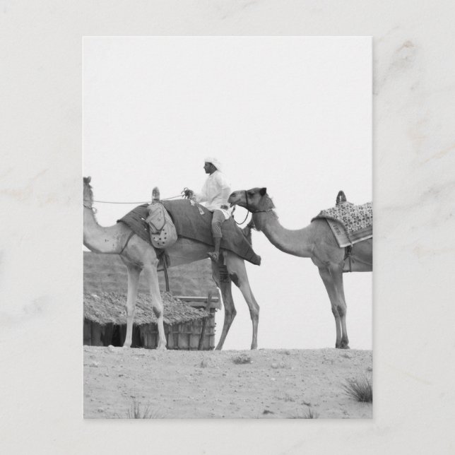 B&W Dubai desert Postcard (Front)