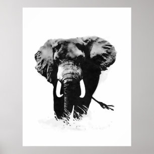 B&W Elephant Posters Prints