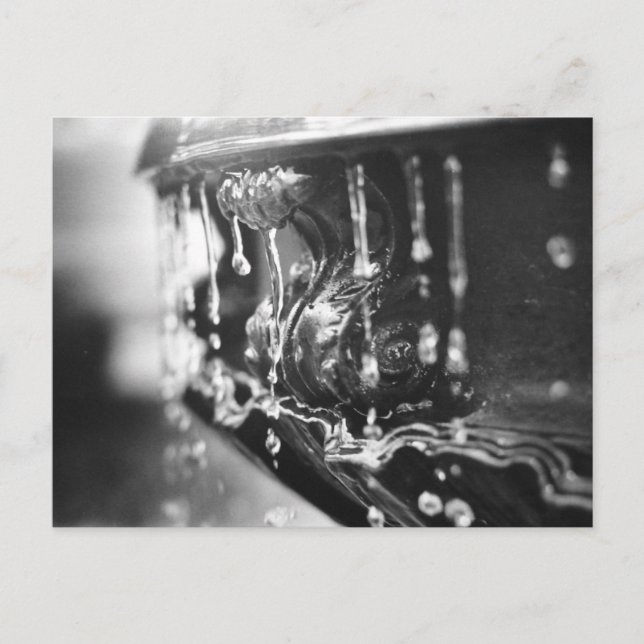 B&W Fountain Postcard (Front)