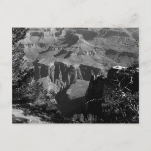 B&W Grand Canyon 4 Postcard