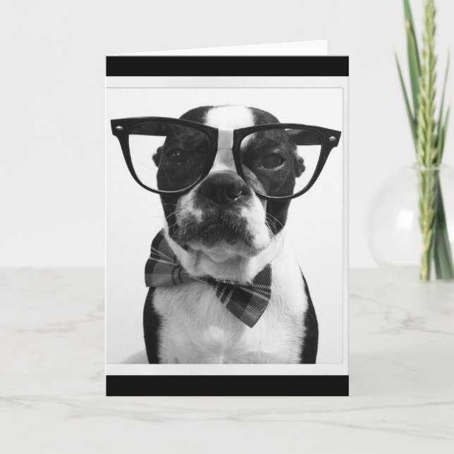 B&W Hipster Nerd Boston Terrier Card (Front)