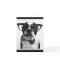B&W Hipster Nerd Boston Terrier