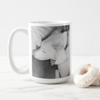 B & W Photo of Beautiful White Dog Sleeping