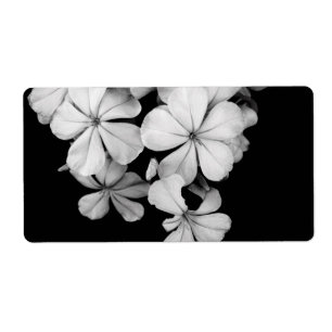 b&w postcard