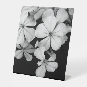 b&w postcard pedestal sign
