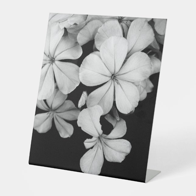 b&w postcard pedestal sign (Front)