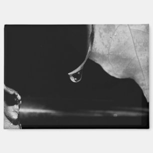 B&W - Rain Drop Magnet