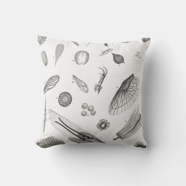 B&W Science Microbiology Magnification Microscopic Cushion (Front)