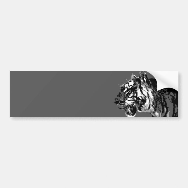 B&W Siberian Tiger Bumper Sticker (Front)