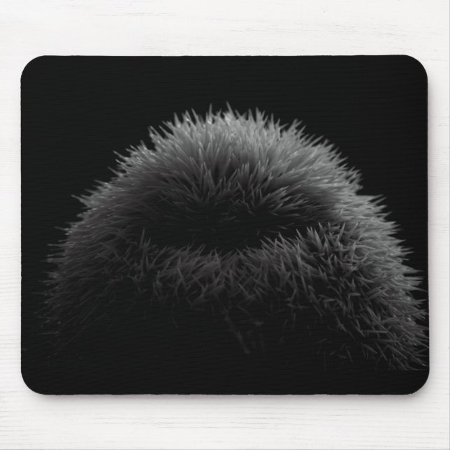 B&W silhouette Mouse Pad (Front)