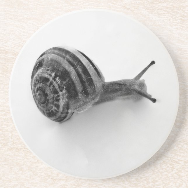 B&W snail Coaster (Front)