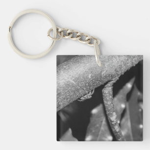 B&W - Spider 02 Key Ring