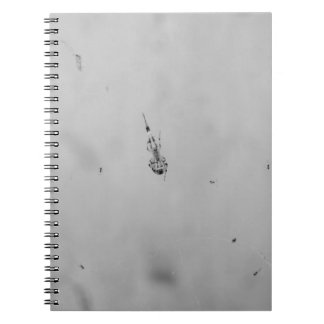 B&W - Spider and its Babies Notebook