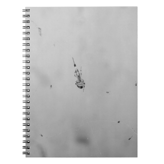 B&W - Spider and its Babies Notebook (Front)