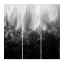 B&W Spotted Blur - Triptych