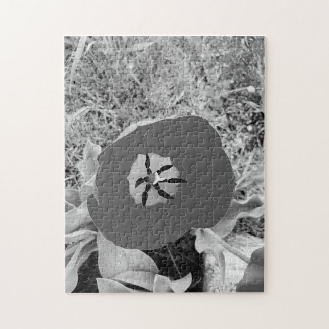 b + w tulip jigsaw puzzle (Vertical)