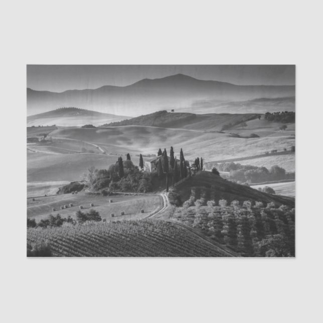 B&W Tuscany Tissue Paper (Front)
