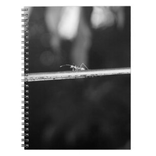 B&W - Weaver Ant Notebook