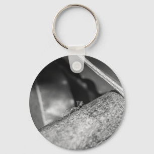 B&W - Weaver Ant on a Wood Key Ring