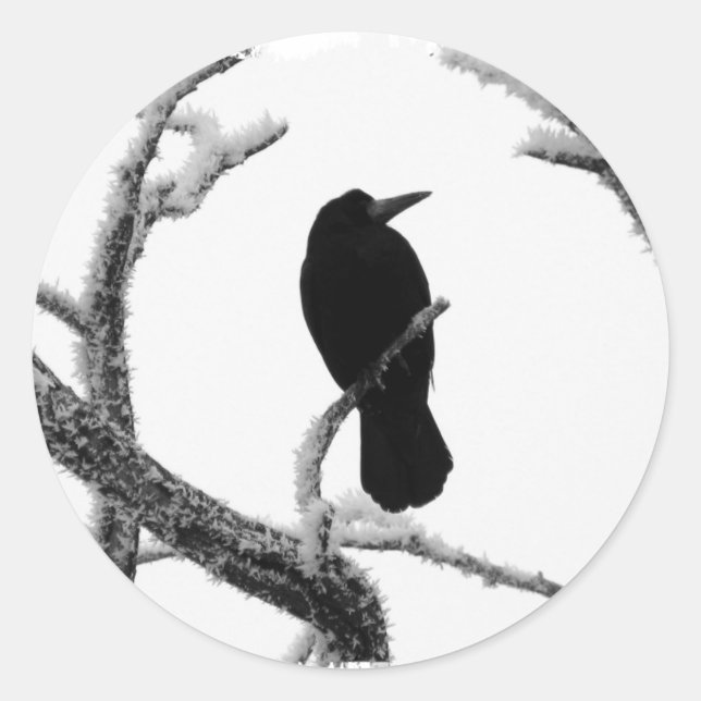B&W Winter Raven Edgar Allan Poe Classic Round Sticker (Front)
