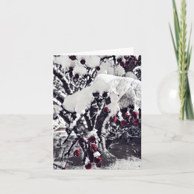 B&W with Red Crab Apple Berries in Snow Xmas Card (Front)
