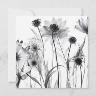 B&W X-Ray Flowers