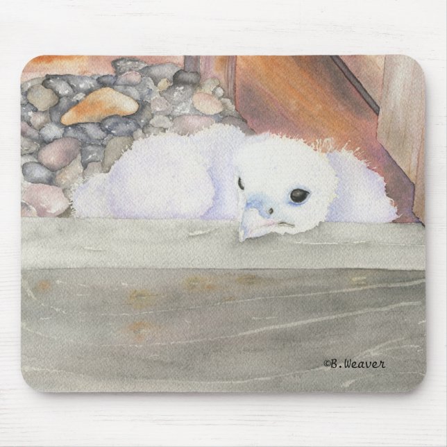 B.Weaver Orion design Mousepad (Front)