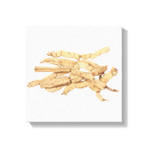 Ba Ji Tian Canvas Print