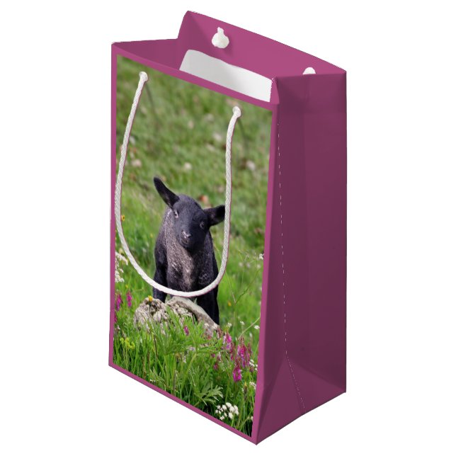 Baa Baa Black Sheep Gift Bag (Front Angled)