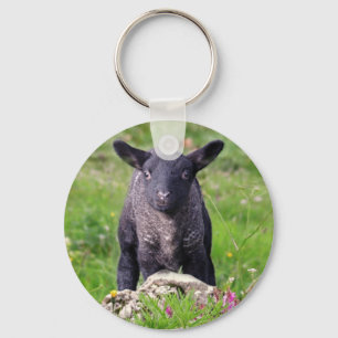 Baa-Baa Black Sheep Keyring