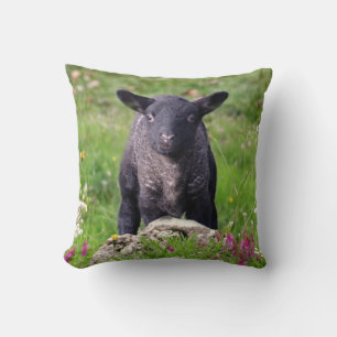 Baa Baa Black Sheep Pillow