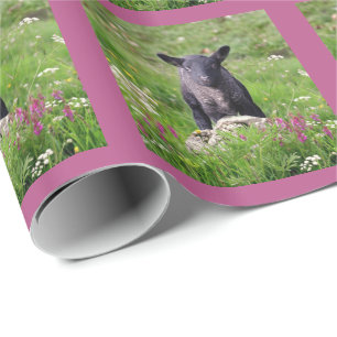 Baa Baa Black Sheep Wrapping Paper