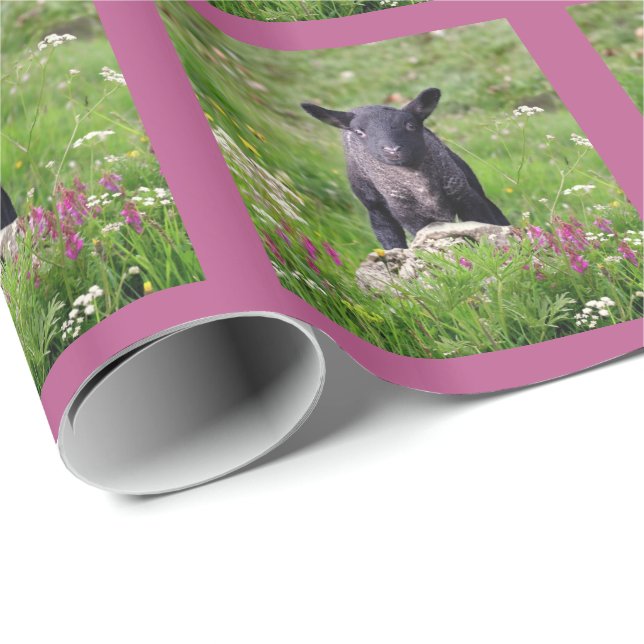 Baa Baa Black Sheep Wrapping Paper (Roll Corner)