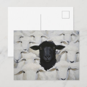 Baa-tle of Individuality Postcard