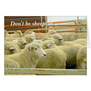 Baaaaa!- Keep in Touch!