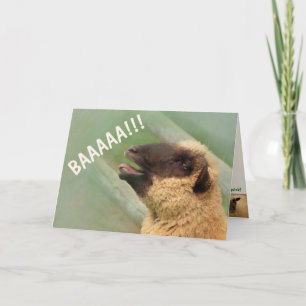 BAAAAAA Sheep Get Well Card