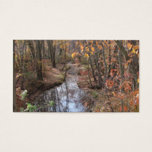 Babbling Brook